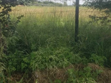 Prime Agro Residential Plot In Norton